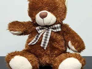Medium Bear Plush
