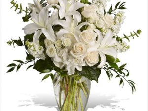 Dreams From The Heart