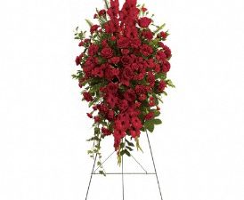 Forever In Our Hearts