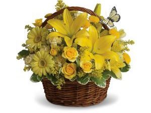 Basket Full Of Wishes