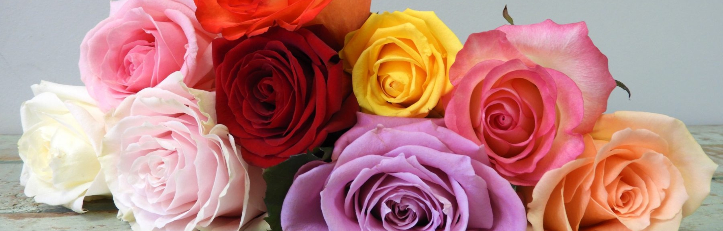 Rose Selection – Colour copy