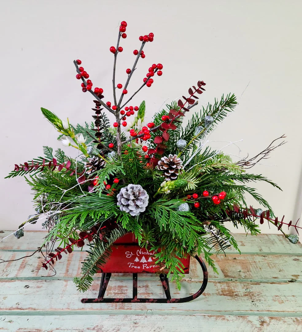 Snow Day Sleigh Ride